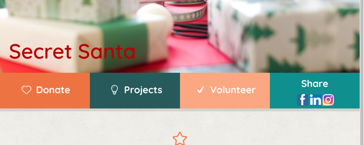 Website design for The Dot Fund (non-profit) by Beauty and the Geek Digital Design