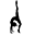 DeKeuster's Gymnastics (gymnast) favicon designed by Beauty and the Geek Digital Design
